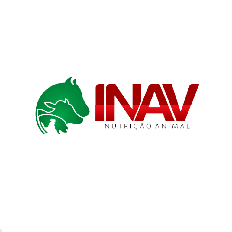 logo-inav-png